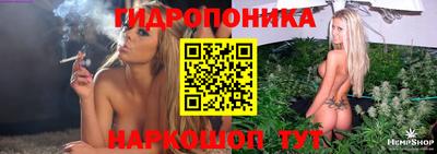 jwh Будённовск