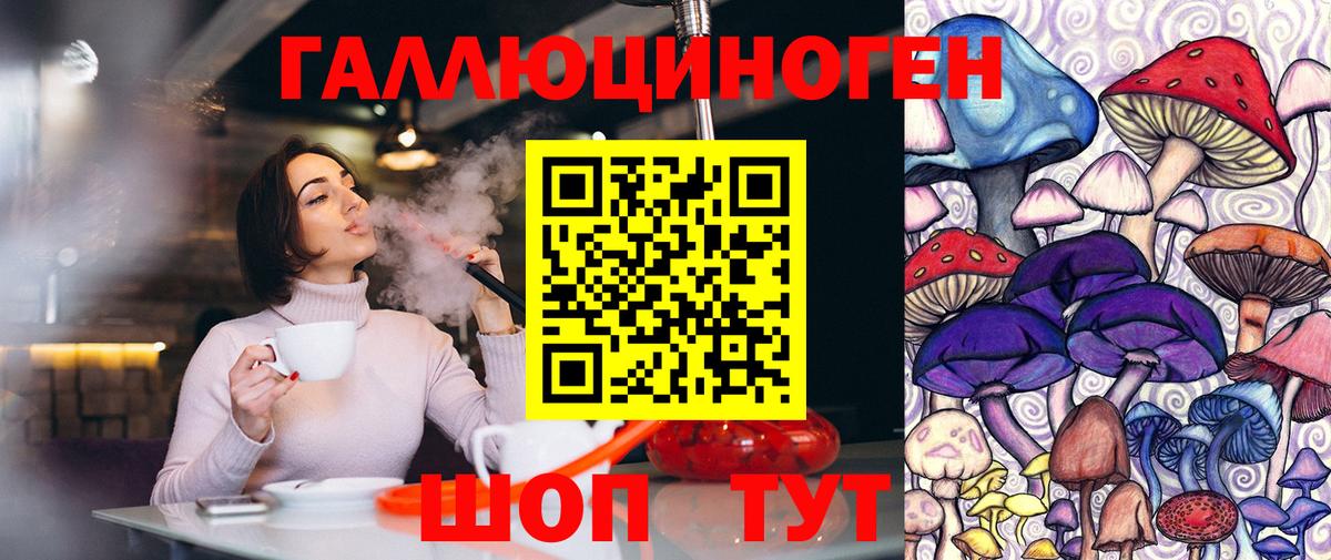 Заинск  Галлюциногенные грибы Magic Shrooms  Вход с VPN  Галлюциногенные грибы мухоморы 