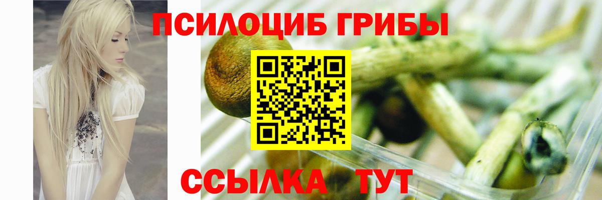 Галлюциногенные грибы ЛСД Заинск